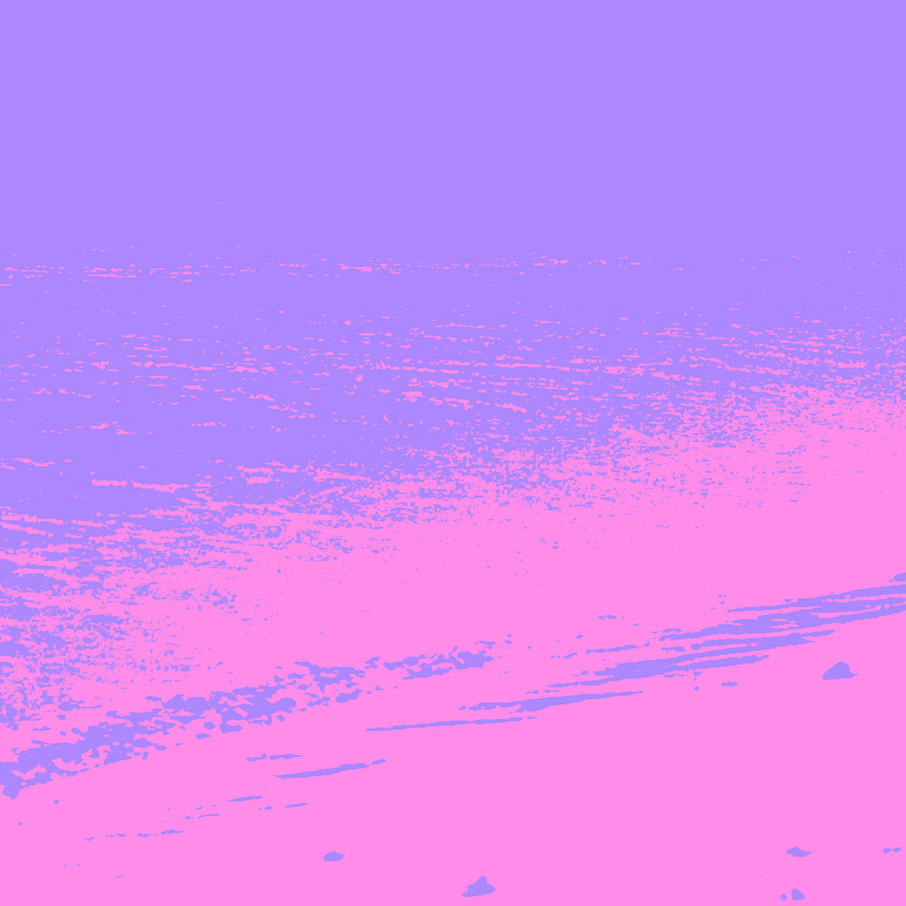 Jacket Of Pinknoise